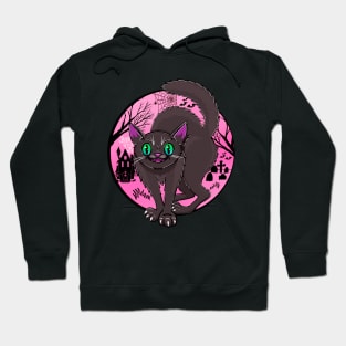 Spooky Cat in Pink Hoodie